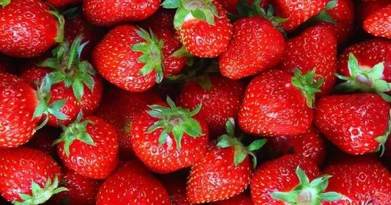 Parkinson hastalığından korunmak için süt yerine kahve için!