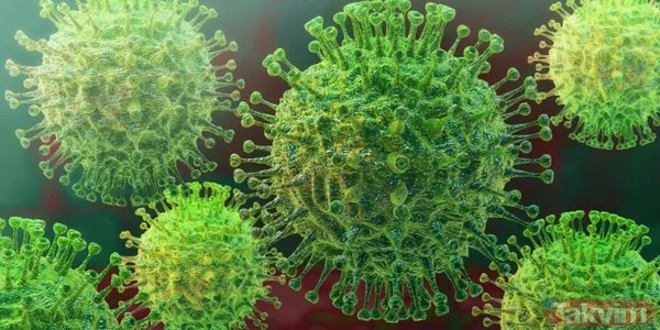 Ünlü Kahine Göre 2020'De Tıpkı Amy Winehouse Gibi Çok Ünlü Ve Genç Bir Kadın Şarkıcı Hayatını Alkol Ve Bağımlılık Gibi Nedenlerden Dolayı Kaybedecek.