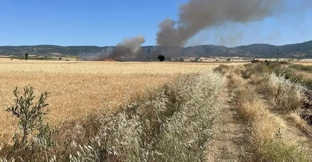 Yozgat'ta 20 dönüm ekili alan kül oldu