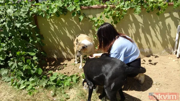 'Daire 16' sözleriyle gündem oldu! Köpük yerinde kalacak - 40