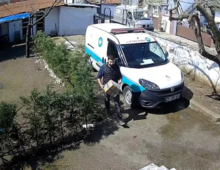 Köpekten korkan kurye can havliyle ağaca tırmandı