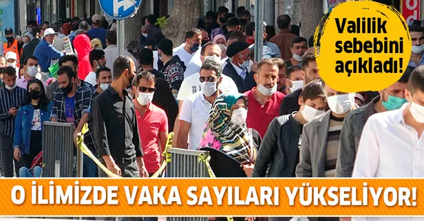 Van'da vaka sayıları yükseliyor! 448'e ulaştı!