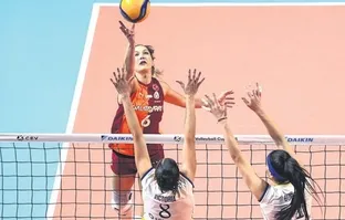 Filenin aslanları final turunda