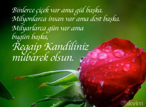 Dualı, hadisli, ayetli, sureli mesajlar - KANDİL MESAJLARI 2023 RESİMLİ! Regaip Kandili mesajları kısa, uzun, hareketli, GİFLİ, anlamlı, yeni İNDİR - 14