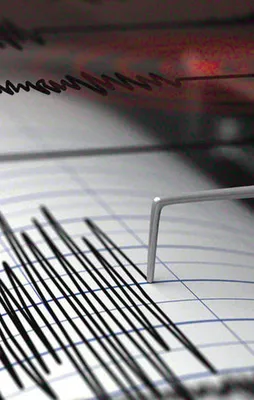 Bodrum yine sallandı