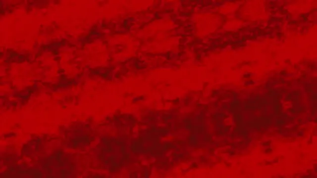 bu-kan-grubundakiler-celik-gibi-vucuda-sahip-en-sanssiz-kan-grubu-belli-oldu-bu-kisilerin-kanser-olma-riski-1700942124035.jpg Bu kan grubundakiler çelik gibi vücuda sahip! En şanssız kan grubu belli oldu! Bu kişilerin kanser olma riski...-6