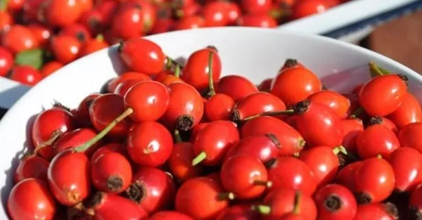 Kuşburnunun faydaları nelerdir?