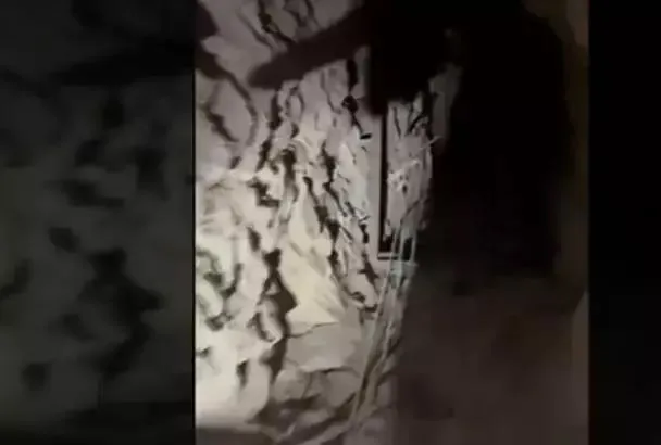 Terör örgütü PKK’ya bir darbe daha!