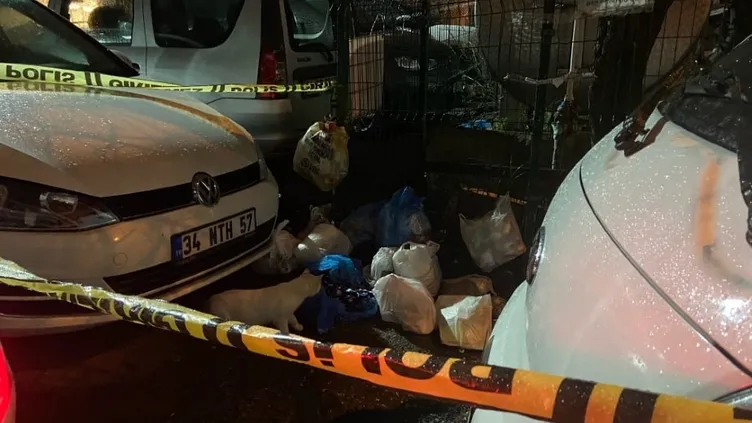 ▶️ Sarıyer’de tüyler ürperten olay! Çöp konteynerinde yeni doğmuş bebek bulundu