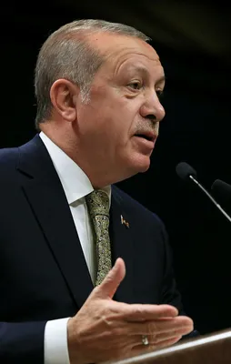 Erdoğan: "Afrin'e girdik, giriyoruz!"