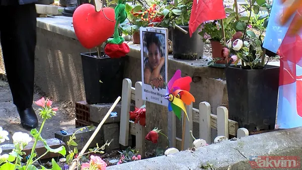 Matia Ahmet Minguzzi olayında yeni gelişme! Mahkeme rapor istedi! Canilerin cezasını kemik yaşları belirleyecek - 7