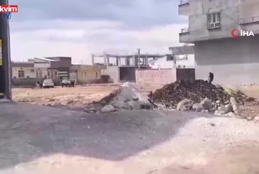 Viranşehir'deki cinayetin zanlısı yakalandı!