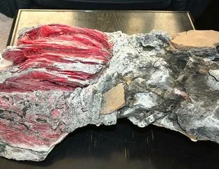 Yüzerken buldu! Sudan çıkarınca gözlerine inanamadı