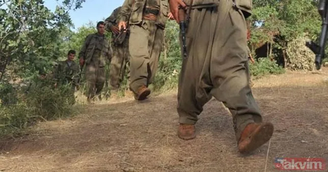 Terör örgütü PKK, 35 yıldır yurt içinde ve yurt dışında kan döküyor
