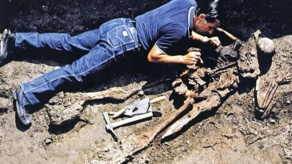 vezun-yanardagidaki-26-numarali-iskeletin-sirri-ortaya-cikti-2-bin-yil-once-kurtarma-gorevine-katilan-bir-subay-1620799604416.jpg Vezüv Yanardağı'daki 26 numaralı iskeletin sırrı ortaya çıktı! 2 bin yıl önce kurtarma görevine katılan bir subay-3