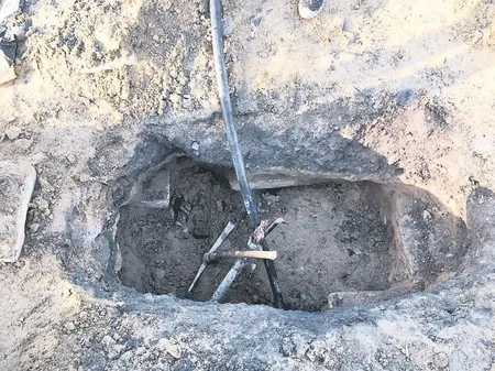 Hainler elektrik kablolarını kesti-1