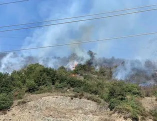 Zonguldak’ta 2 dönüm ormanlık alan yandı!