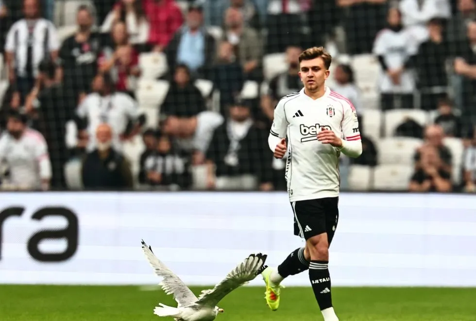 Beşiktaş - Samsunspor maçında martı sürprizi!