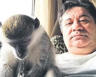 Devlet Ciguli’ye el koydu