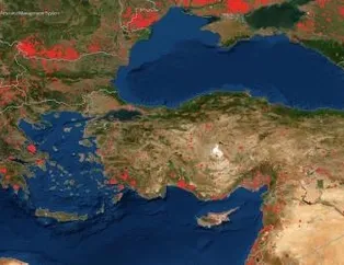 Orman yangınlarının doğada bıraktığı tahribat uydu aracılığıyla görüntülendi