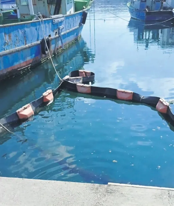 Bilim insanları, deniz salyasını bitirmek için laboratuvara girdi: Müjdeli haber İstanbul Üniversitesi'nden geldi-2