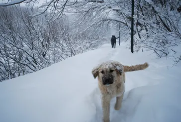 İstanbul’da Sibirya soğukları buz kestirecek! Kuvvetli kar yağışı geliyor: Eldiven, atkı, botları hazırlayın