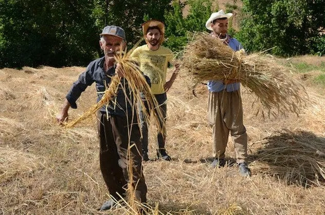 Terörden temizlendi, bereket fışkırıyor! Hakkari'nin o ilçesinde huzur ortamının sağlanmasıyla, 25 yıl sonra yeniden tarıma başladılar