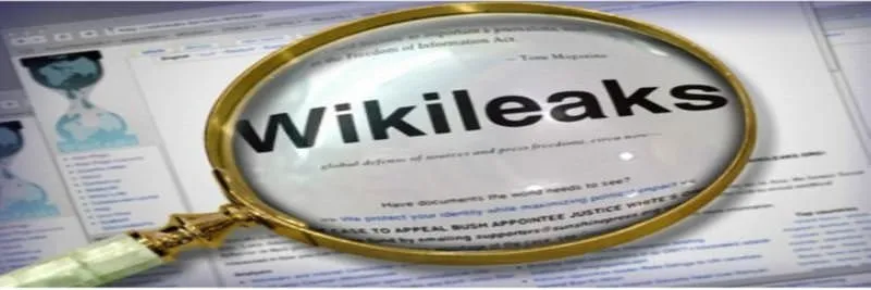 WikiLeaks’e kınama