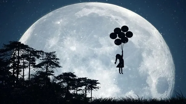 Rüyada tarantula görmek ne anlama gelir? Rüyada tarantula görmek neye işarettir? Rüyada tarantula görmenin anlamı, yorumu...-2