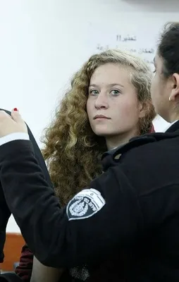 Filistinli Ahed et-Temimi'ye destek kampanyası