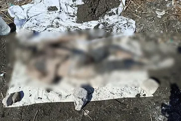 Adana'da çuval dolusu vahşet! Cinayet telefon sinyalinden çözüldü