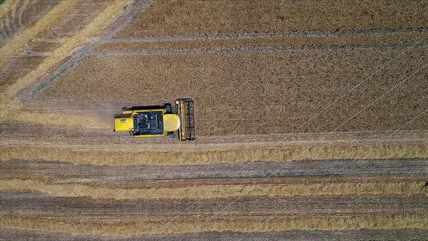 BM'den küresel açlık uyarısı: Ukrayna'nın limanları acilen açılsın-5