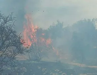 Muğla’da korkutan orman yangını