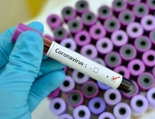 Eğitime koronavirüs engeli! Tatil edildi
