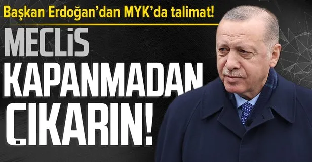 Başkan Erdoğan’dan hayvan hakları yasası talimatı: Meclis kapanmadan çıkarın!