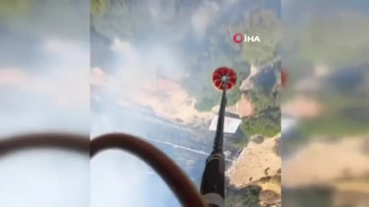Bergama’da orman yangını