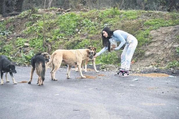 burcu-kiratlidan-guzel-hareket-sokak-kopeklerini-elleriyle-besledi-1608588832354.jpeg