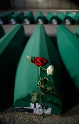 22 yıldır yüreklerde: Srebrenitsa