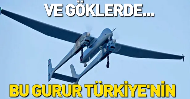 Aksungur gökyüzü ile buluştu