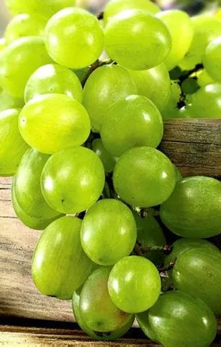 İki gözüm üzüm! İşte faydaları...