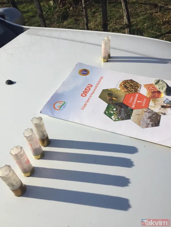 Duygulandıran görüntü! Pompalı tüfekle öldürülen köpeğin 7 yavrusu başından ayrılmadı - 10