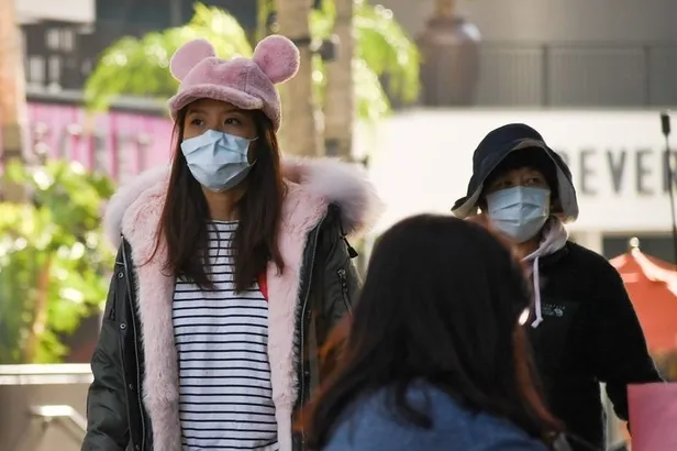 Koronavirüsün ondan bulaştığı iddia ediliyordu! Çin'den flaş yarasa çorbası açıklaması-4