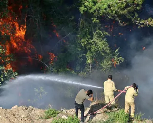Son dakika: Hataydaki orman yangınına müdahale sürüyor! Vatandaşlar korku dolu anları anlattı