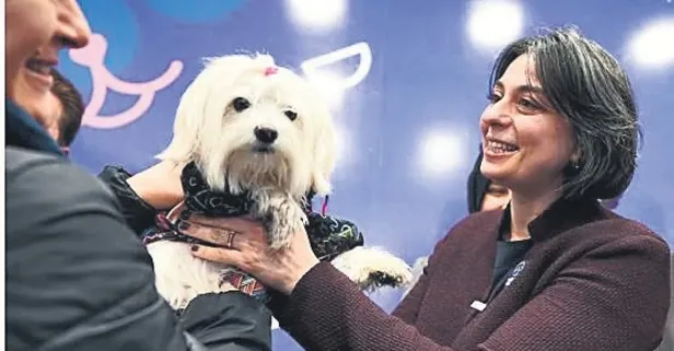 Üsküdar ne hallere düştü! CHP'li Sinem Dedetaş belediyenin makam aracını köpeğine tahsis etti
