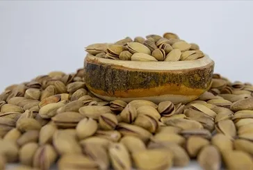 Böbreklere antep fıstığı