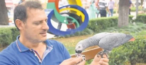 Paşa arkadaş