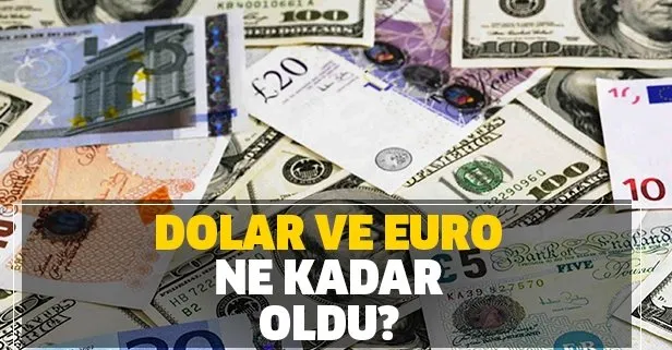 Dolar ve euro haftanın ilk günü düşüşte! 13 Ocak canlı dolar ve euro döviz kurları ne kadar oldu?