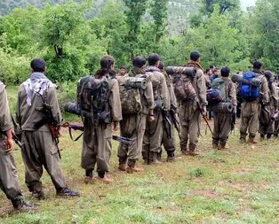 PKK’nın 30 yıllık Amanos hayali suya düştü