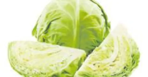 Prostatta umut lahana!