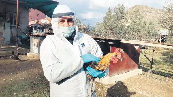 3.5 yıldır ölüm mesajı alan genç kadın: Eski eş kurbanı olmak istemiyorum (Güncel haberler)-7